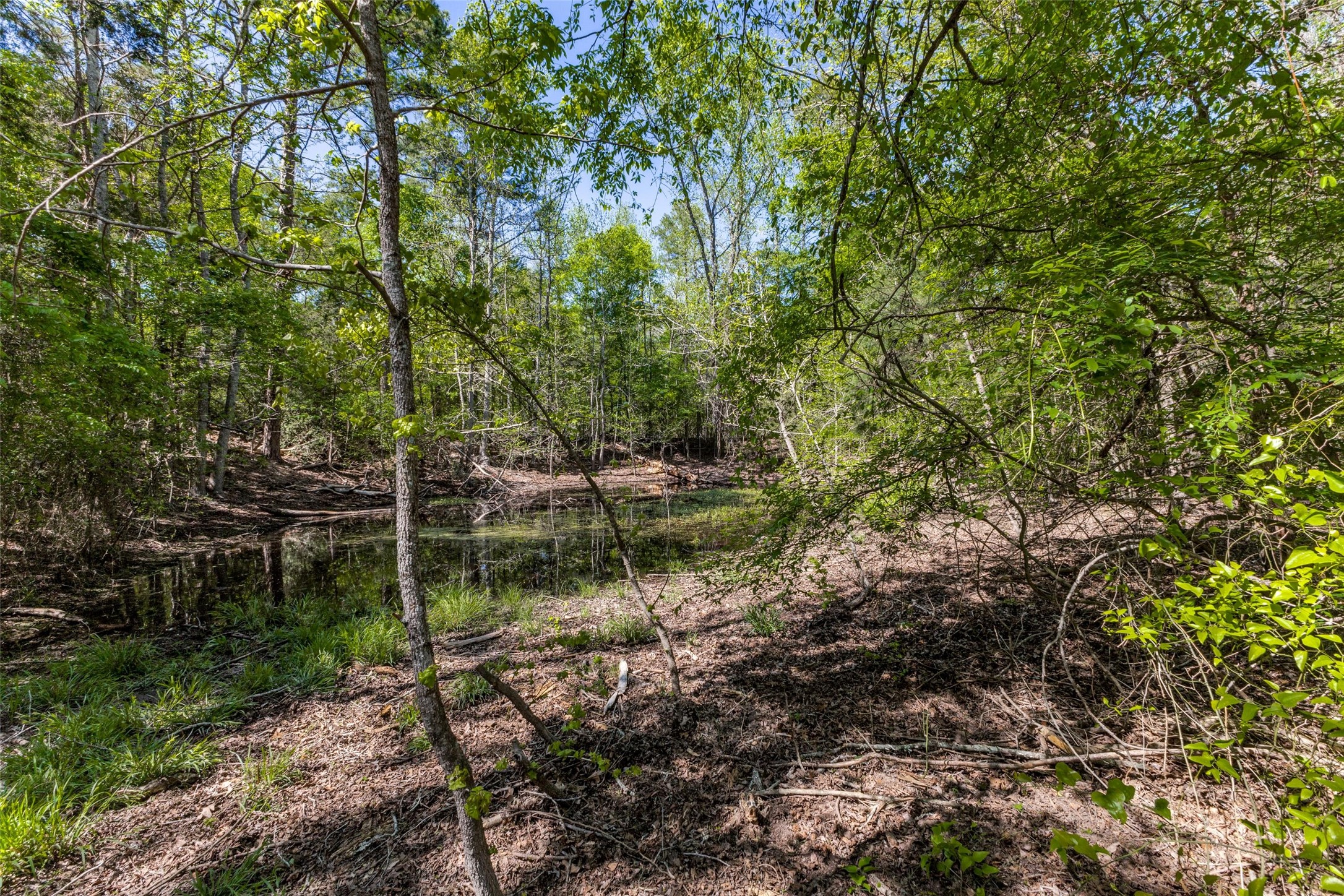 0 S FM 14, Hawkins, TX, 75773 | 20584344 | Realty Texas LLC