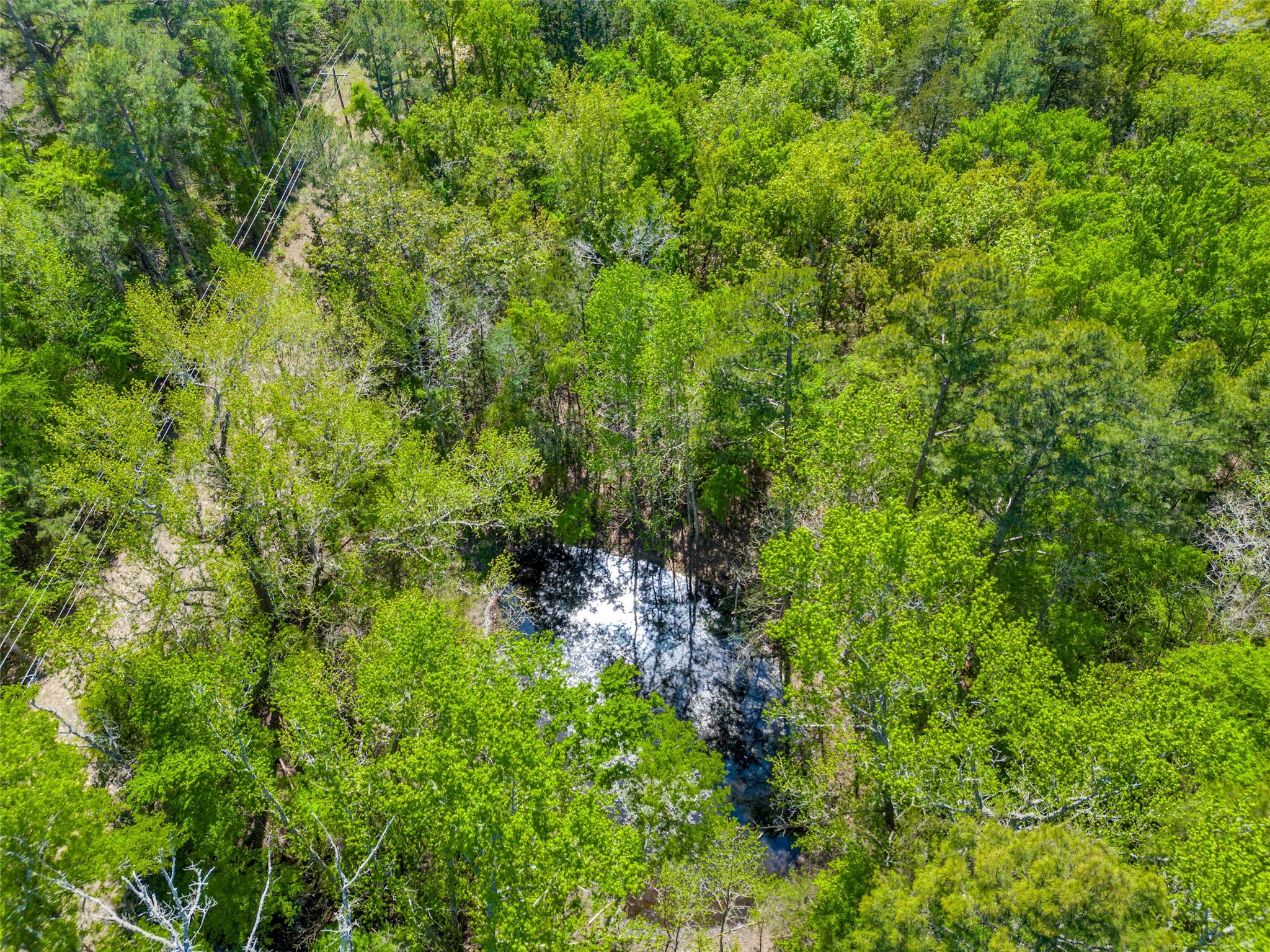 0 S FM 14, Hawkins, TX, 75773 | 20584344 | Realty Texas LLC