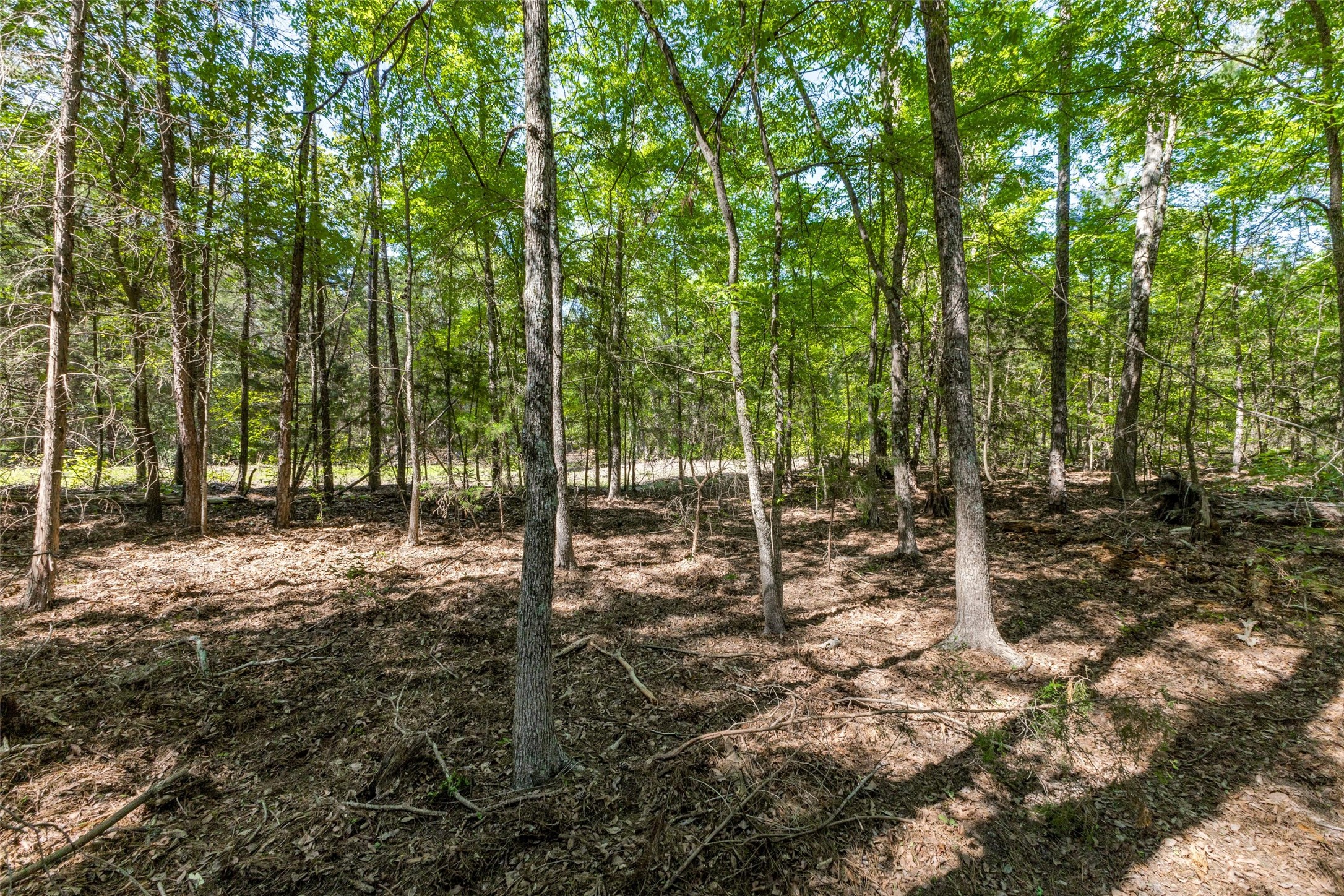 0 S FM 14, Hawkins, TX, 75773 | 20584344 | Realty Texas LLC