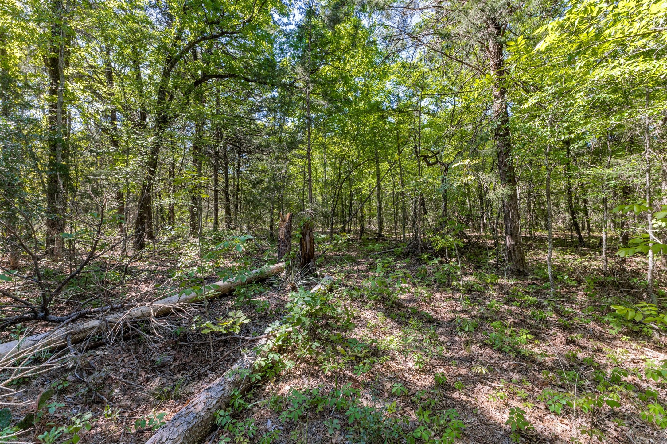 0 S FM 14, Hawkins, TX, 75773 | 20584344 | Realty Texas LLC