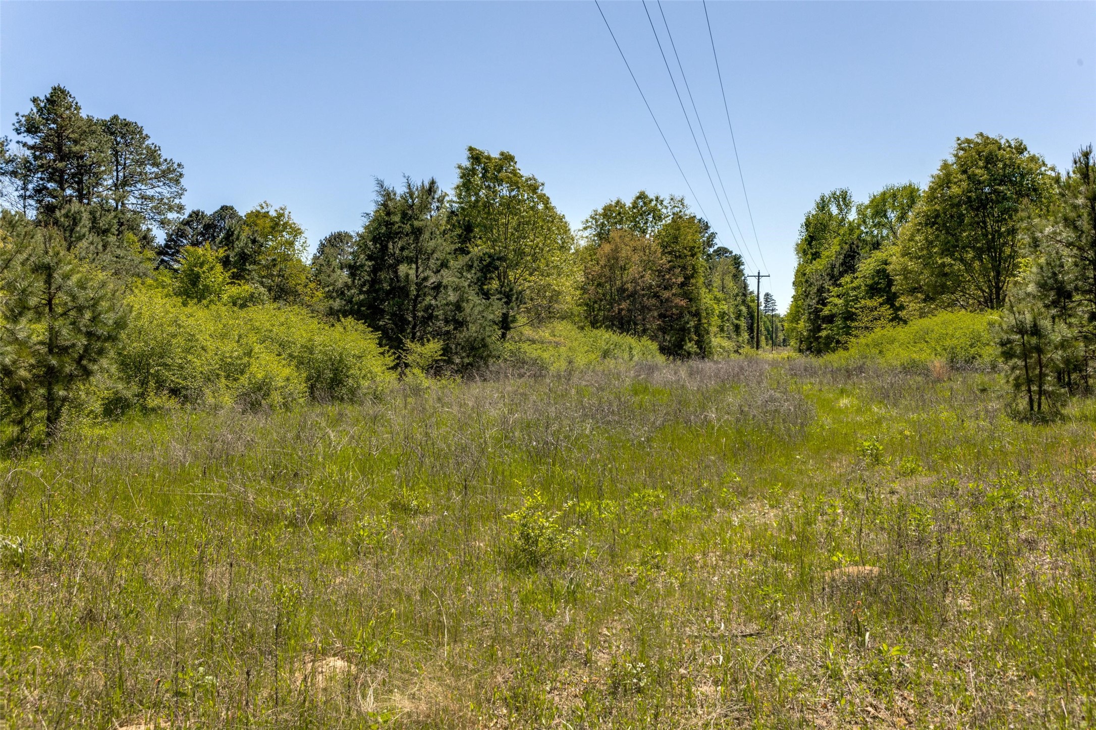 0 S FM 14, Hawkins, TX, 75773 | 20584344 | Realty Texas LLC