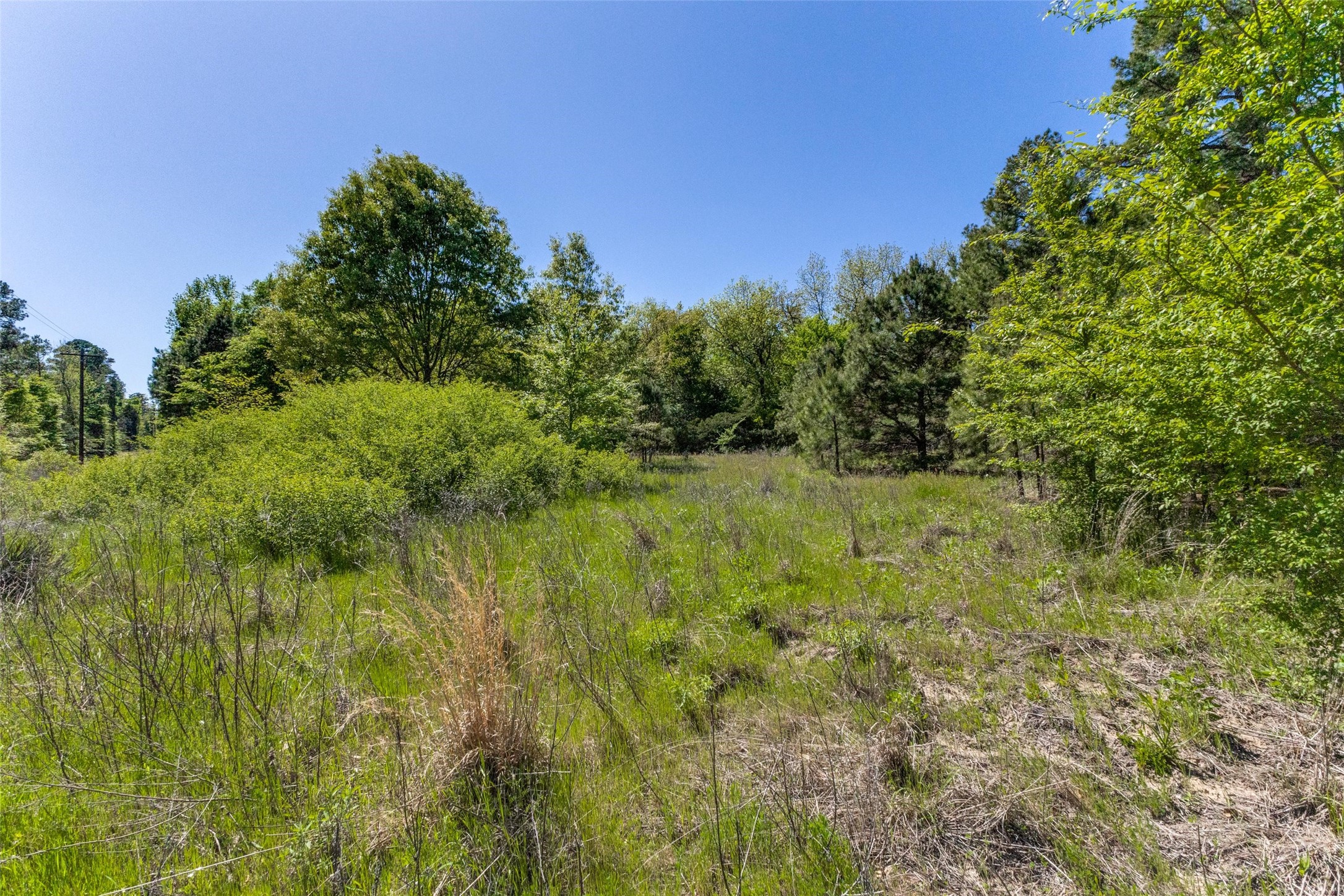 0 S FM 14, Hawkins, TX, 75773 | 20584344 | Realty Texas LLC