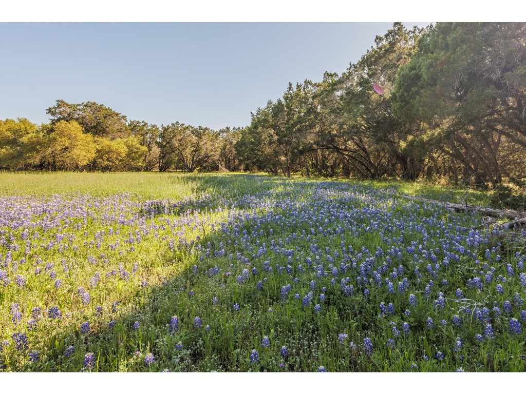 250 Caliche Road , Wimberley, TX, 78676 | 2870830 | Realty Texas LLC