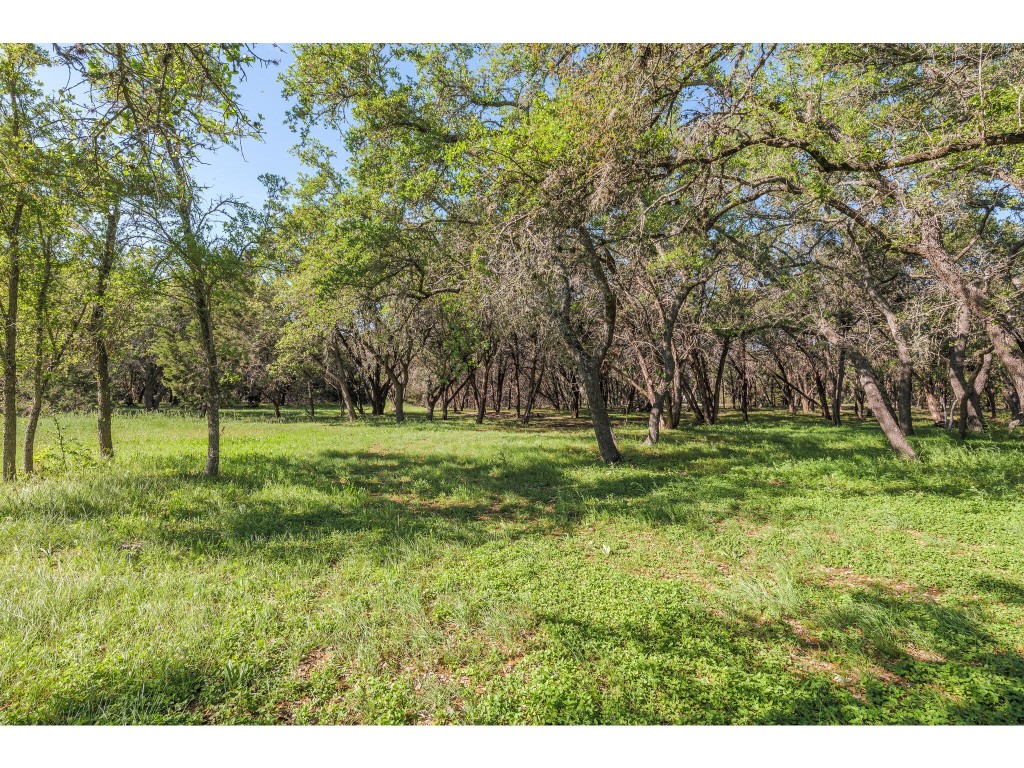 250 Caliche Road , Wimberley, TX, 78676 | 2870830 | Realty Texas LLC