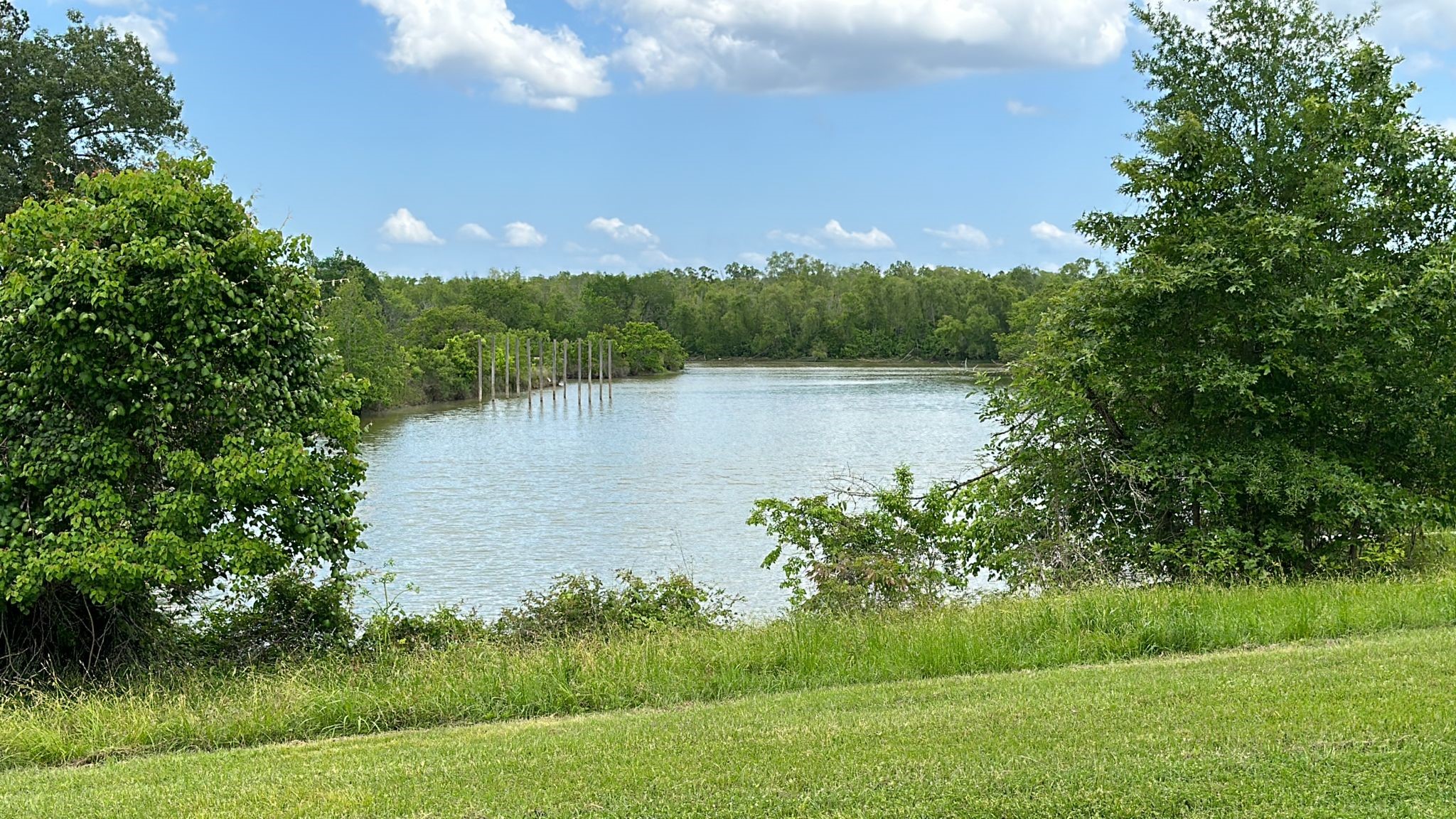 Lot 3 Tara Drive, Trinity, TX, 75862 | 84432363 | Realty Texas LLC