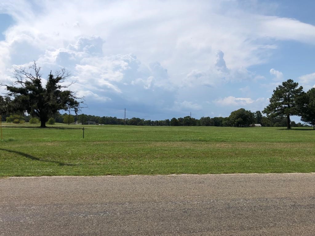 Lot 3 Tara Drive, Trinity, TX, 75862 | 84432363 | Realty Texas LLC