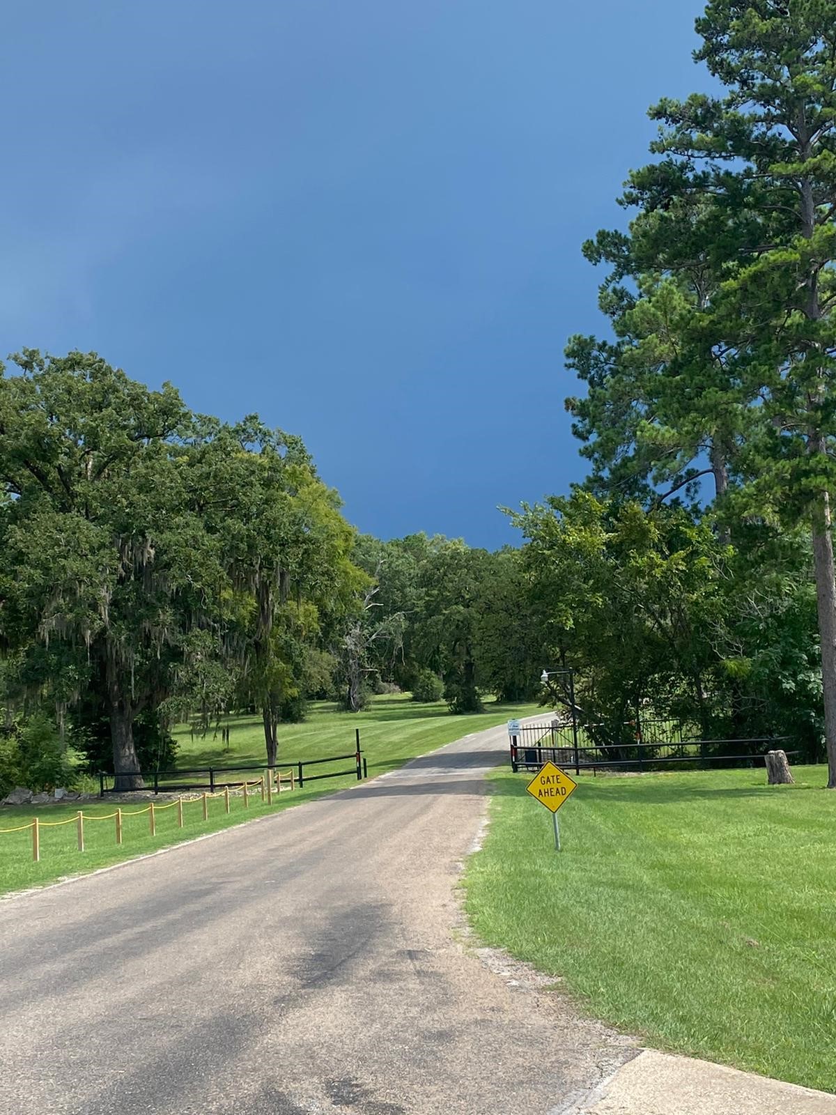 Lot 4 Briarfiled Way, Trinity, TX, 75862 | 61352575 | Realty Texas LLC