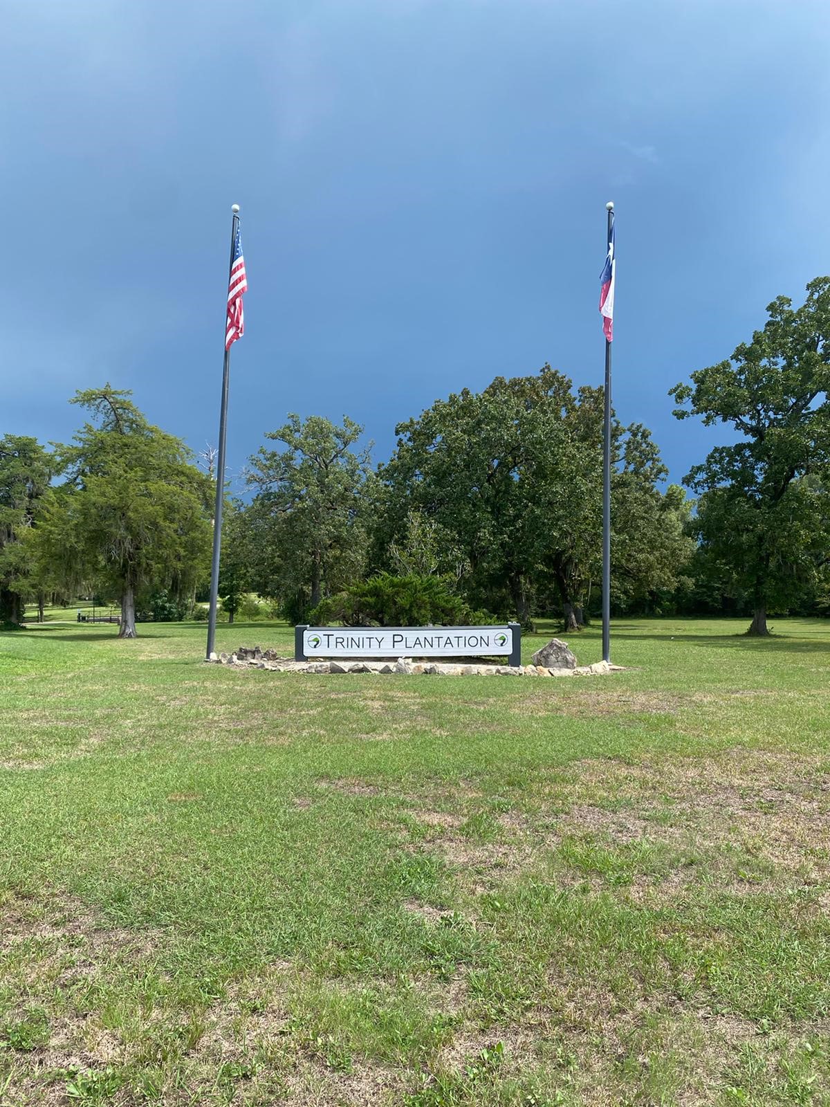 Lot 4 Briarfiled Way, Trinity, TX, 75862 | 61352575 | Realty Texas LLC