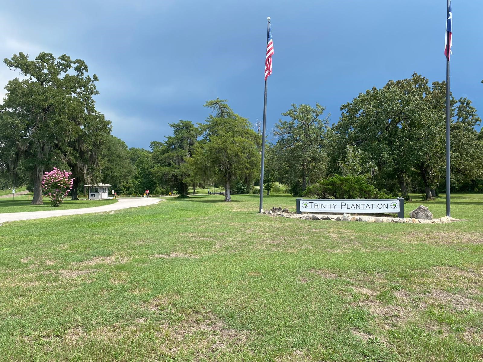 Lot 4 Briarfiled Way, Trinity, TX, 75862 | 61352575 | Realty Texas LLC
