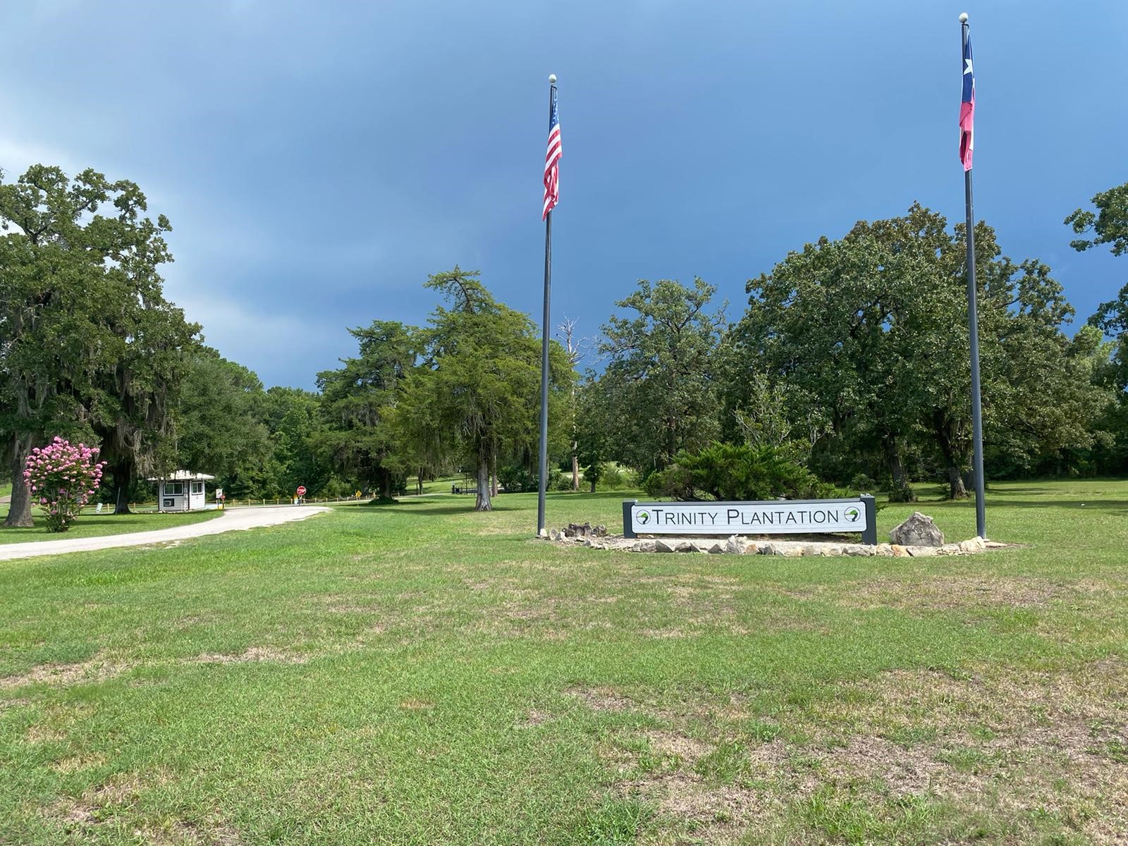 Lot 4 Briarfiled Way, Trinity, TX, 75862 | 61352575 | Realty Texas LLC