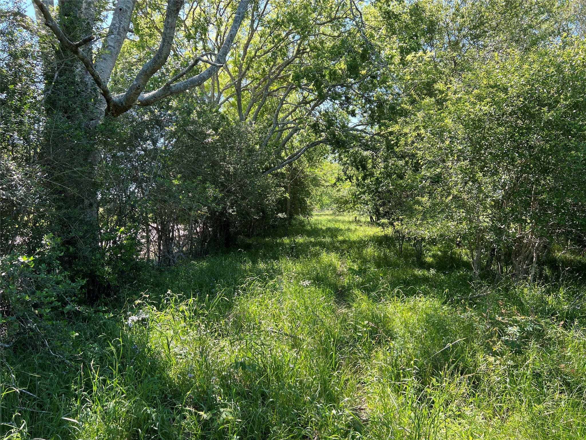 1 County Road 26 , Damon, TX, 77430 | 70869774 | Realty Texas LLC