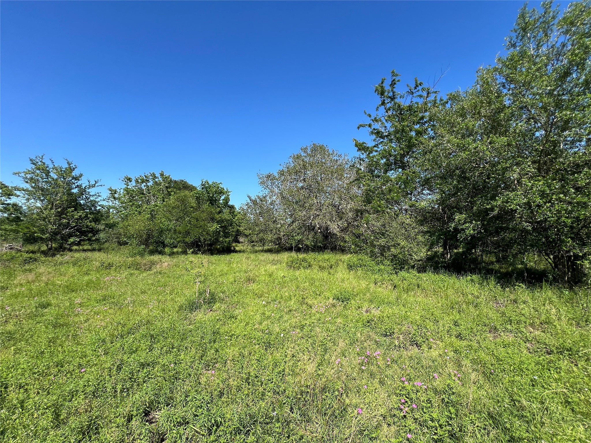 1 County Road 26 , Damon, TX, 77430 | 70869774 | Realty Texas LLC