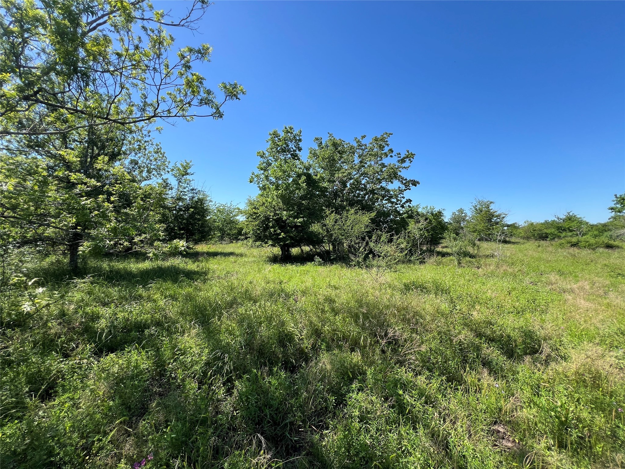 1 County Road 26 , Damon, TX, 77430 | 70869774 | Realty Texas LLC