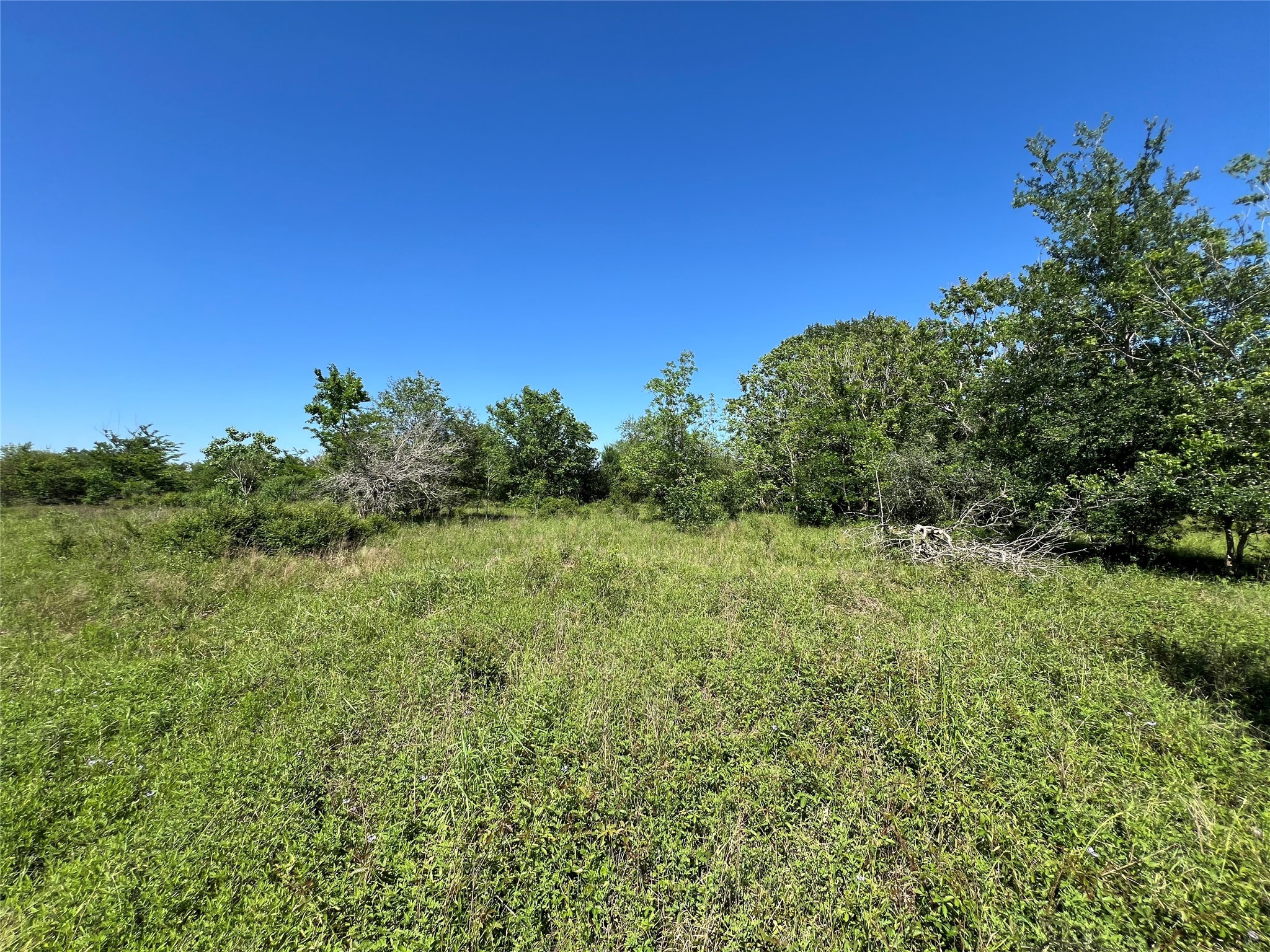 1 County Road 26 , Damon, TX, 77430 | 70869774 | Realty Texas LLC