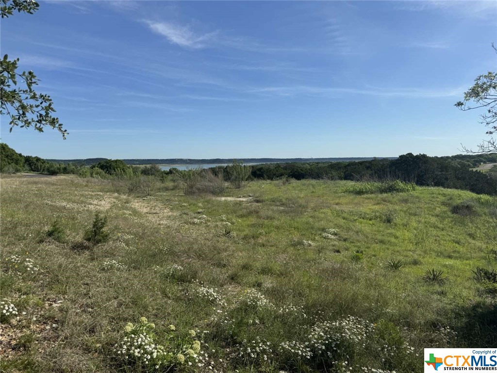 1256 Windy Hill, Salado, TX, 76571 | 540477 | Realty Texas LLC