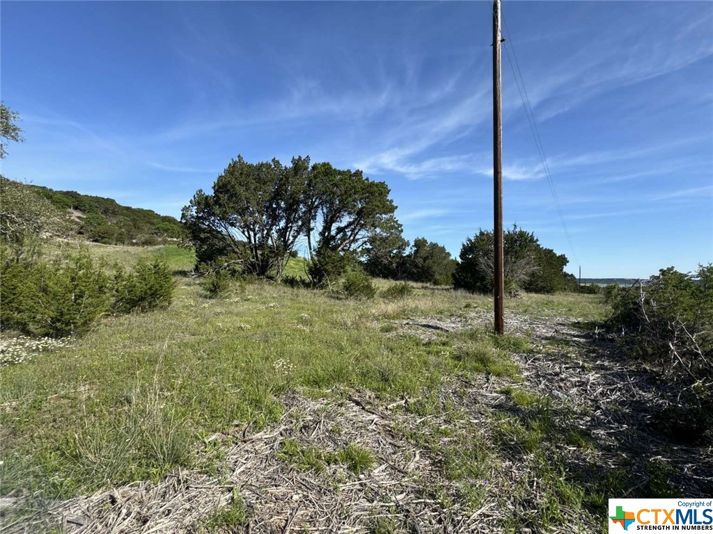 1256 Windy Hill, Salado, TX, 76571 | 540477 | Realty Texas LLC