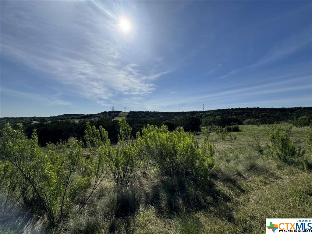 1256 Windy Hill, Salado, TX, 76571 | 540477 | Realty Texas LLC