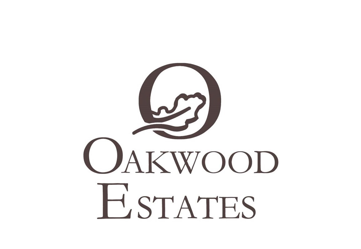 21518 Oakwood Drive , Waller, TX, 77484 | 71846685 | Realty Texas LLC