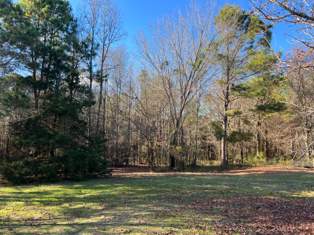 950 County Road 2361 , Marietta, TX, 75566 | 20588117 | Realty Texas LLC