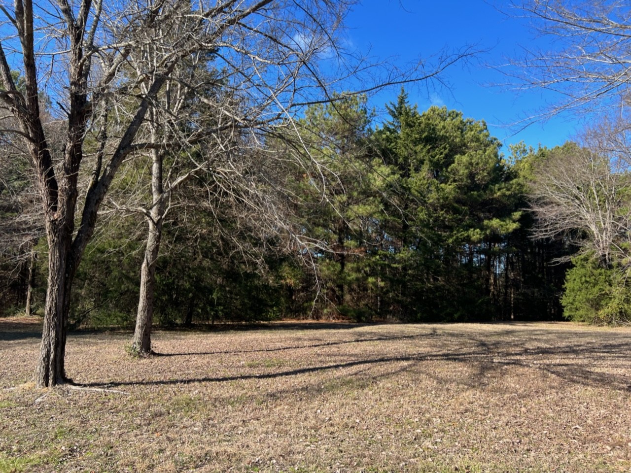 950 County Road 2361 , Marietta, TX, 75566 | 20588117 | Realty Texas LLC