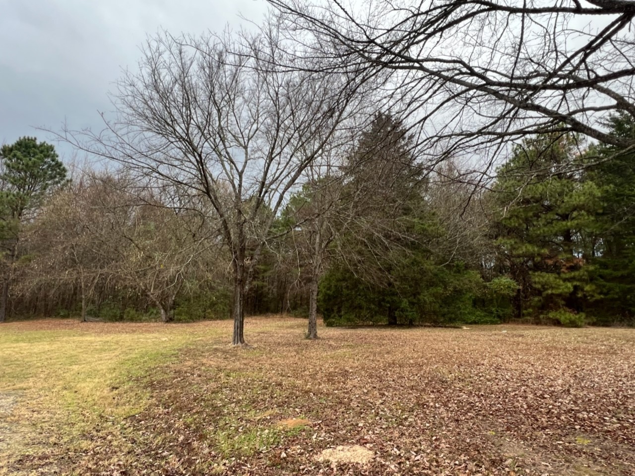 950 County Road 2361 , Marietta, TX, 75566 | 20588117 | Realty Texas LLC