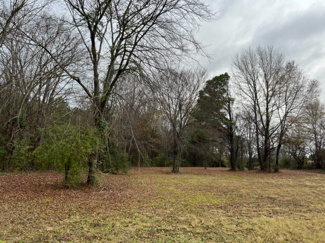 950 County Road 2361 , Marietta, TX, 75566 | 20588117 | Realty Texas LLC
