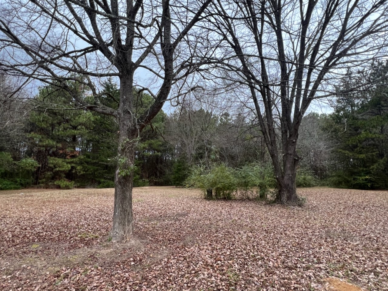 950 County Road 2361 , Marietta, TX, 75566 | 20588117 | Realty Texas LLC