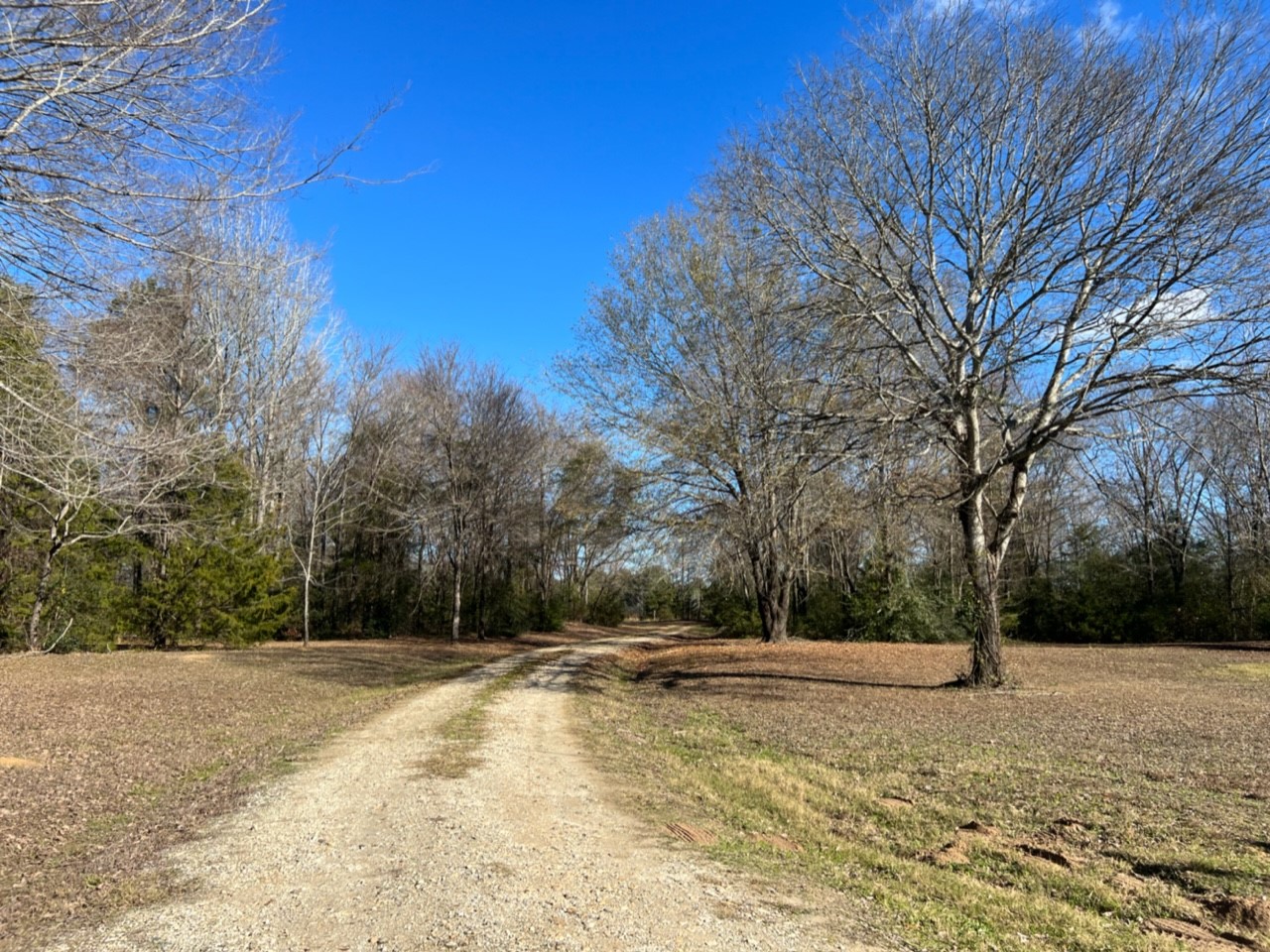 950 County Road 2361 , Marietta, TX, 75566 | 20588117 | Realty Texas LLC