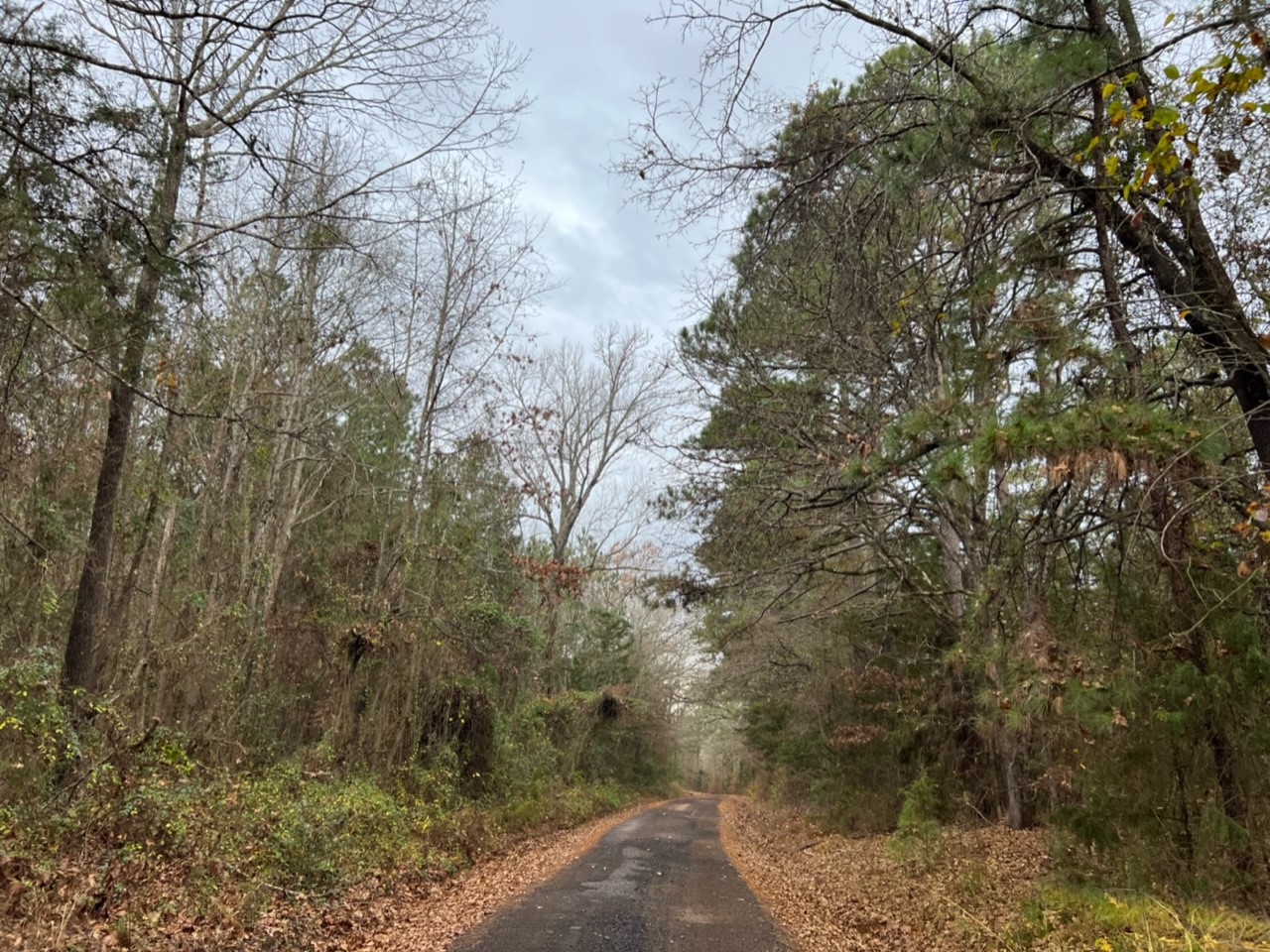 950 County Road 2361 , Marietta, TX, 75566 | 20588117 | Realty Texas LLC