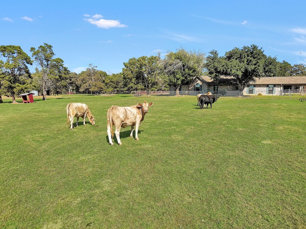 1252 County Road 106 , Paige, TX, 78659 | 9649641 | Realty Texas LLC