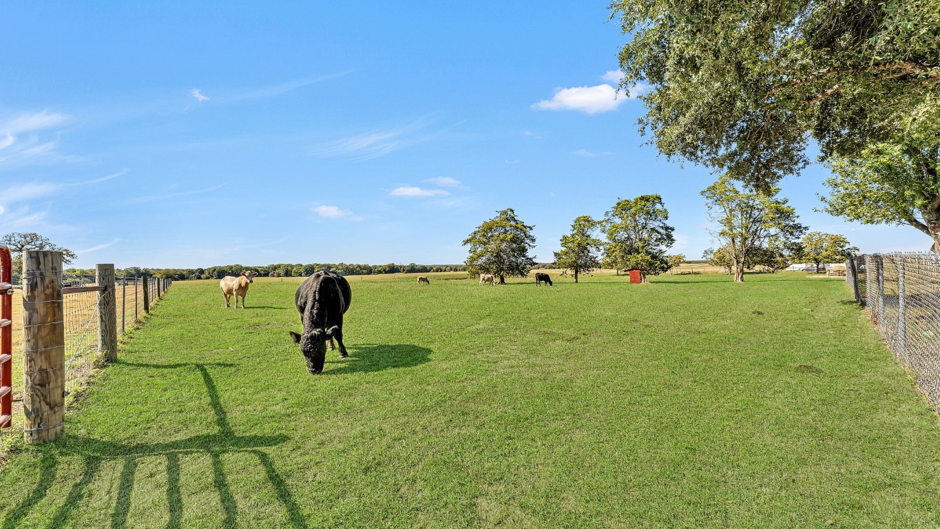 1252 County Road 106 , Paige, TX, 78659 | 9649641 | Realty Texas LLC