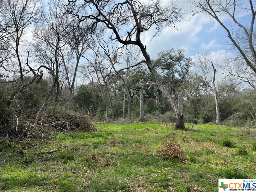 TBD County Road 212 , Hallettsville, TX, 77964 | 541161 | Realty Texas LLC