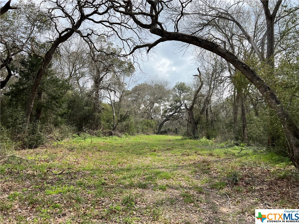 TBD County Road 212 , Hallettsville, TX, 77964 | 541161 | Realty Texas LLC