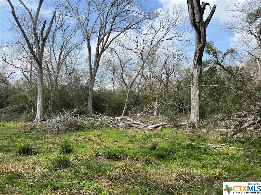 TBD County Road 212 , Hallettsville, TX, 77964 | 541161 | Realty Texas LLC