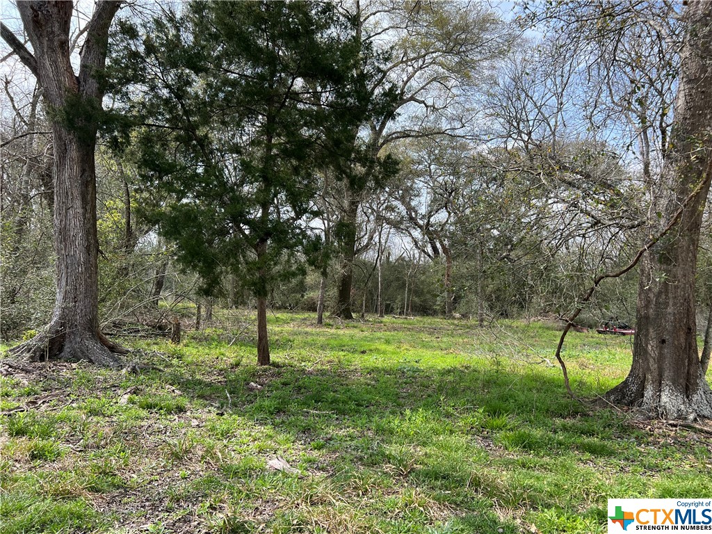 TBD County Road 212 , Hallettsville, TX, 77964 | 541161 | Realty Texas LLC