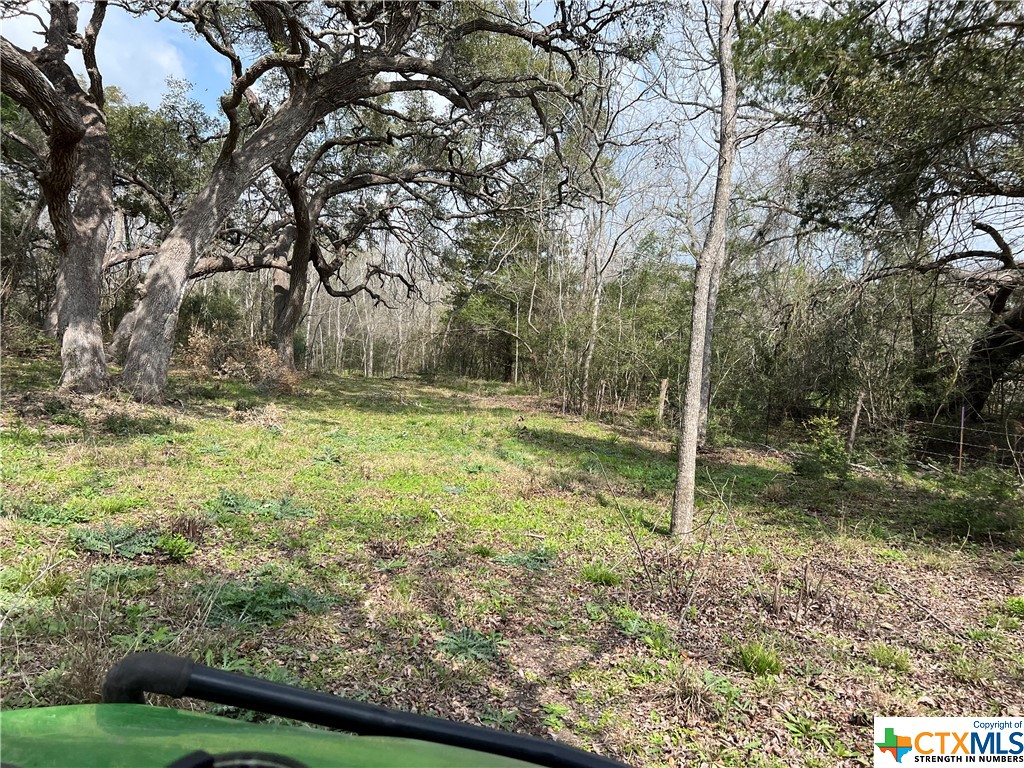 TBD County Road 212 , Hallettsville, TX, 77964 | 541161 | Realty Texas LLC