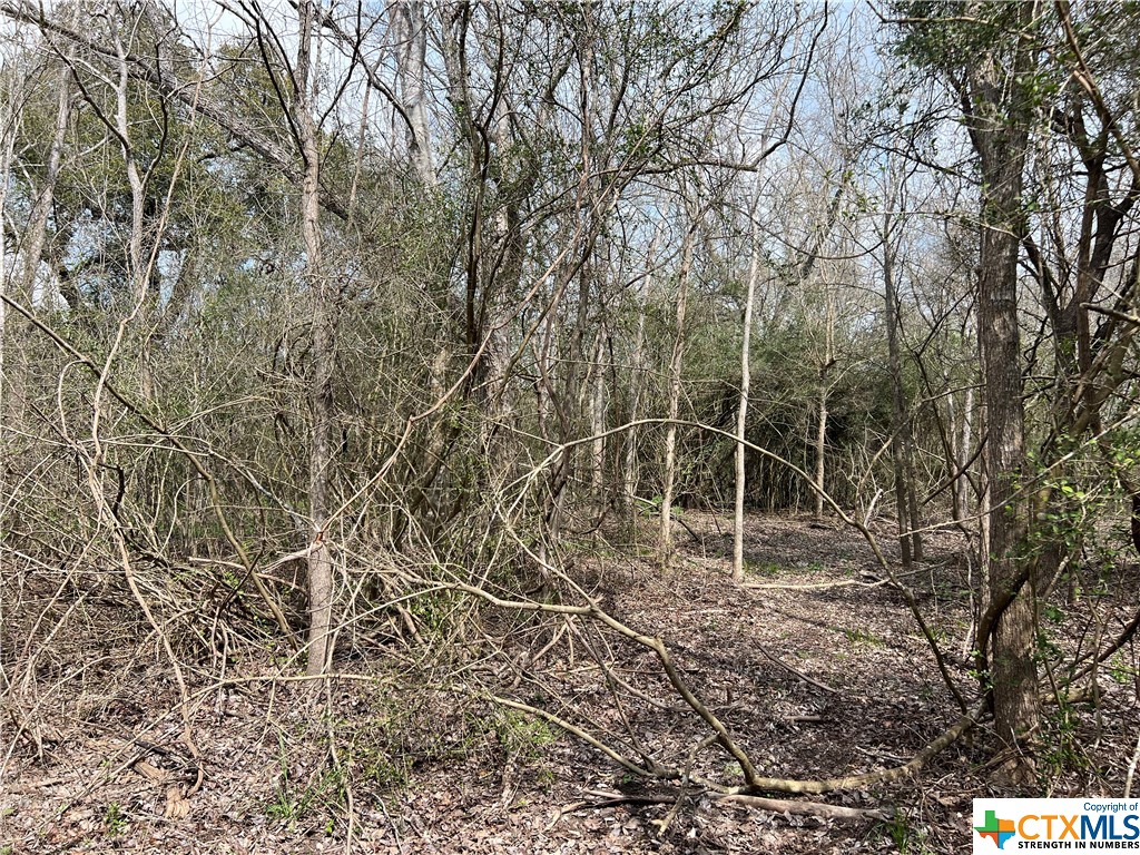 TBD County Road 212 , Hallettsville, TX, 77964 | 541161 | Realty Texas LLC