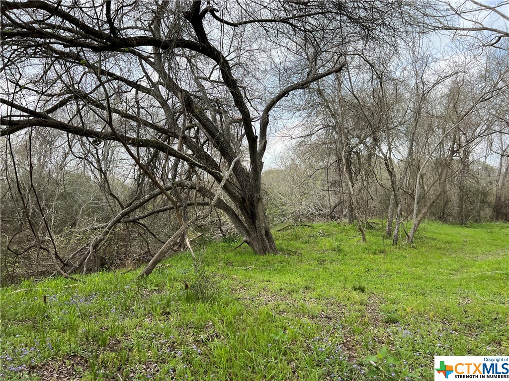 TBD County Road 212 , Hallettsville, TX, 77964 | 541161 | Realty Texas LLC