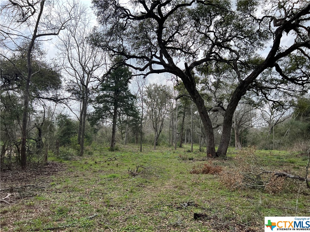 TBD County Road 212 , Hallettsville, TX, 77964 | 541161 | Realty Texas LLC