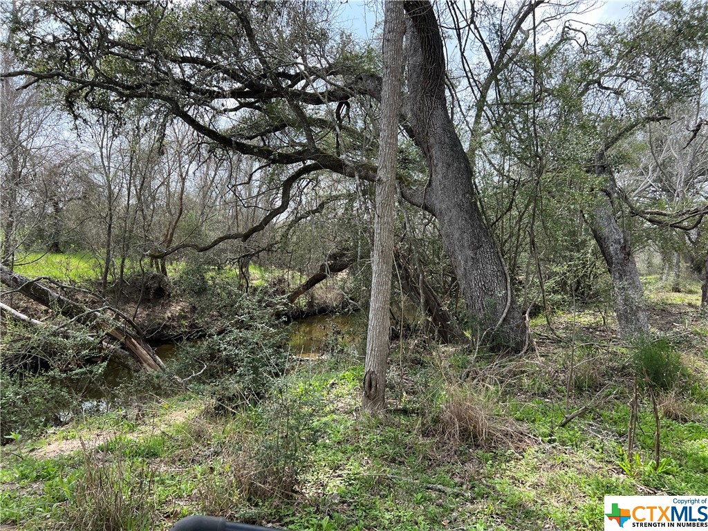 TBD County Road 212 , Hallettsville, TX, 77964 | 541161 | Realty Texas LLC