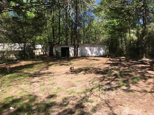 208 Virginia Street , Atlanta, TX, 75551 | 20590855 | Realty Texas LLC