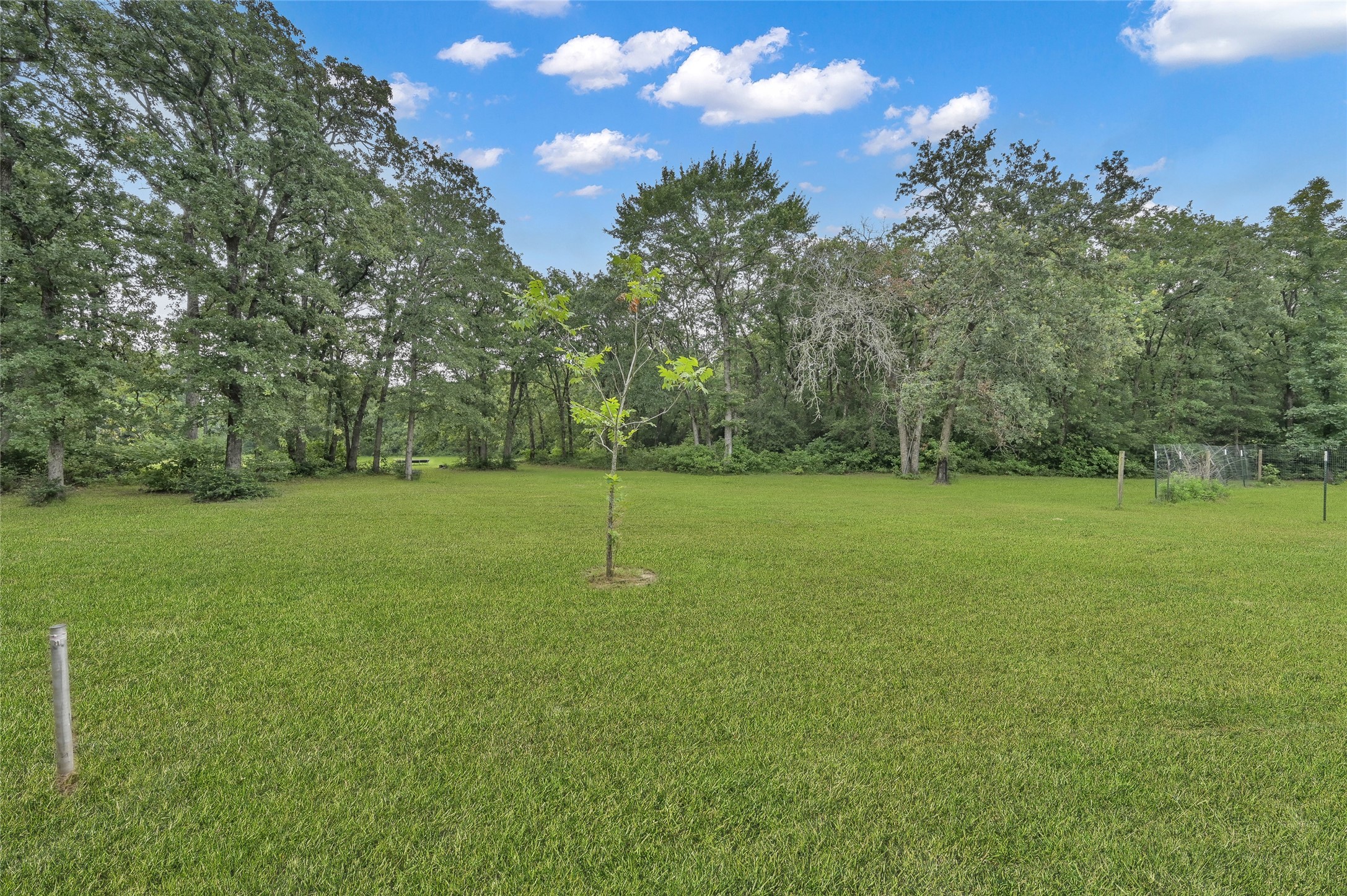 15274 County Road 459 , Normangee, TX, 77871 | 66331253 | Realty Texas LLC