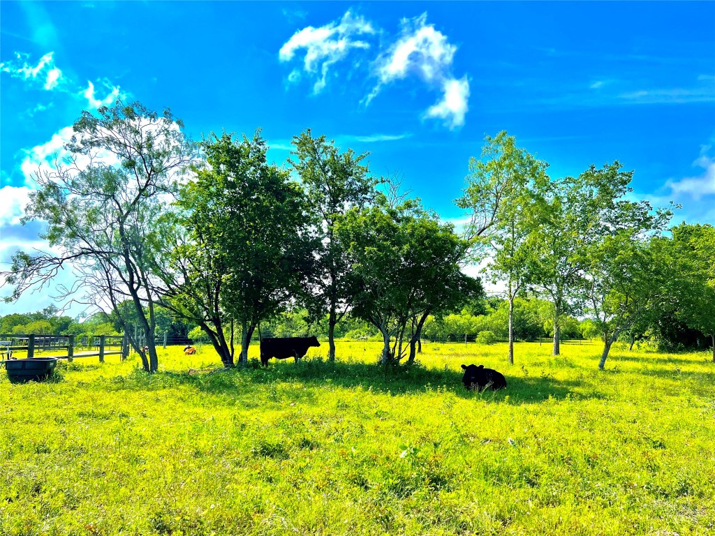 430 Broadhead Trail , Luling, TX, 78648 | 2349352 | Realty Texas LLC