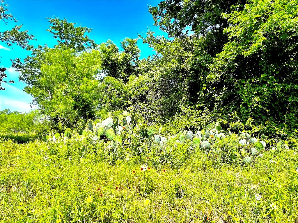 430 Broadhead Trail , Luling, TX, 78648 | 2349352 | Realty Texas LLC