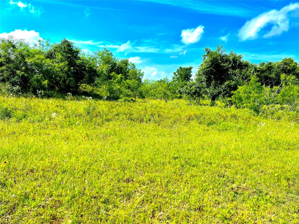 430 Broadhead Trail , Luling, TX, 78648 | 2349352 | Realty Texas LLC