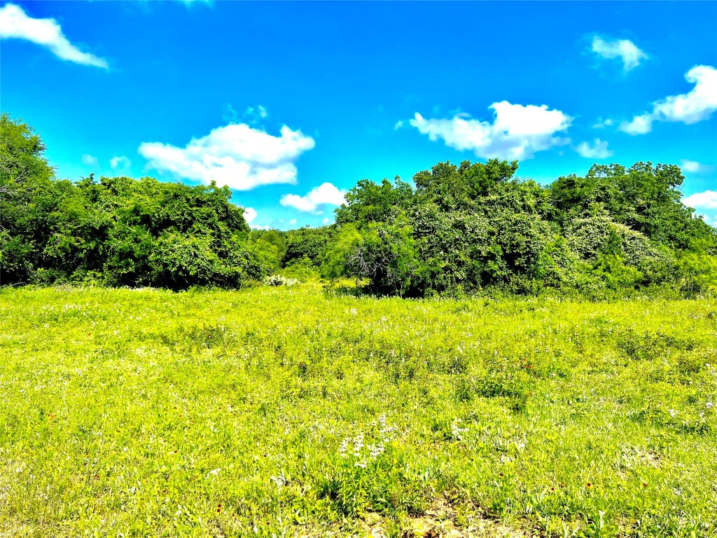 430 Broadhead Trail , Luling, TX, 78648 | 2349352 | Realty Texas LLC