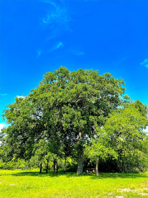 430 Broadhead Trail , Luling, TX, 78648 | 2349352 | Realty Texas LLC
