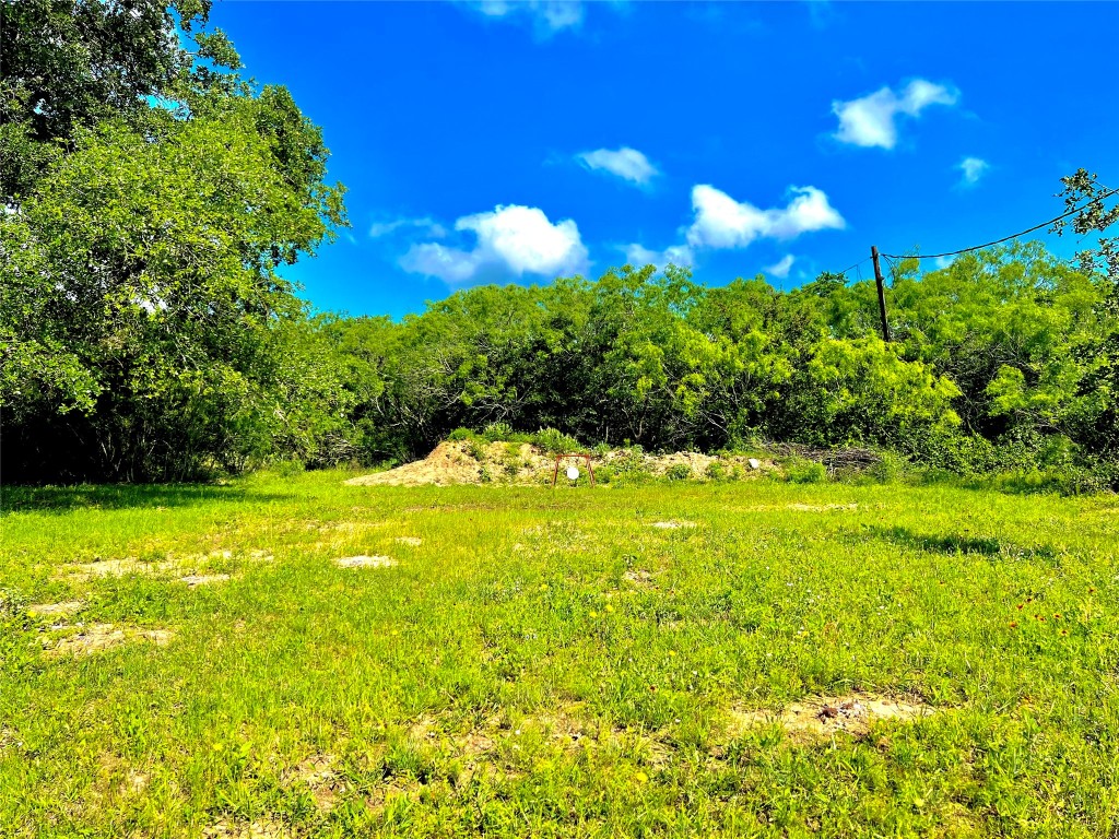 430 Broadhead Trail , Luling, TX, 78648 | 2349352 | Realty Texas LLC