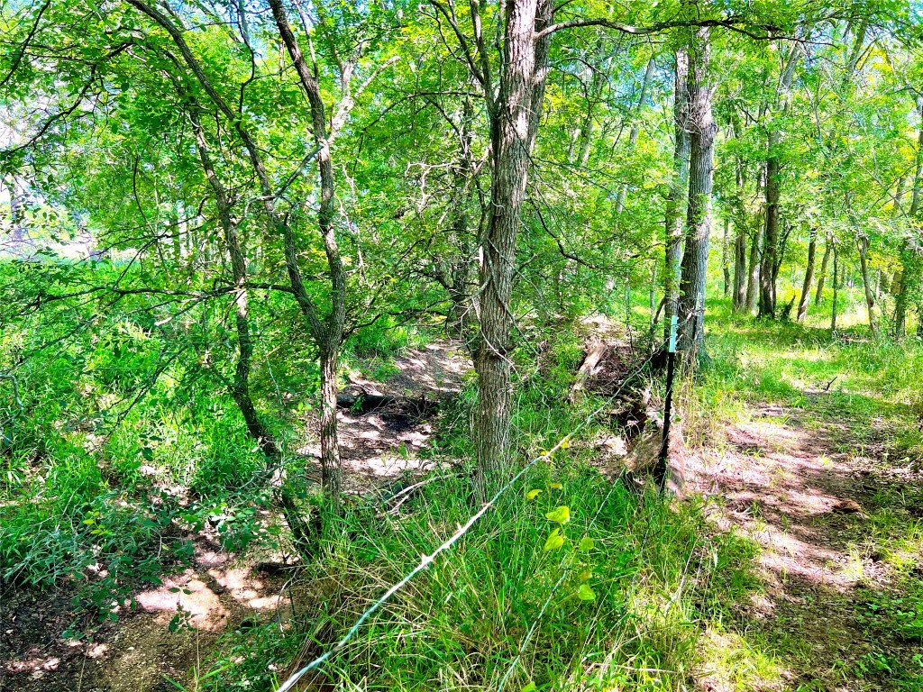 430 Broadhead Trail , Luling, TX, 78648 | 2349352 | Realty Texas LLC