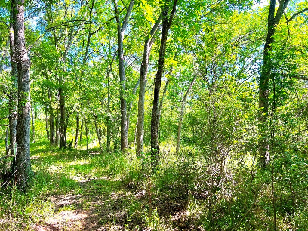 430 Broadhead Trail , Luling, TX, 78648 | 2349352 | Realty Texas LLC